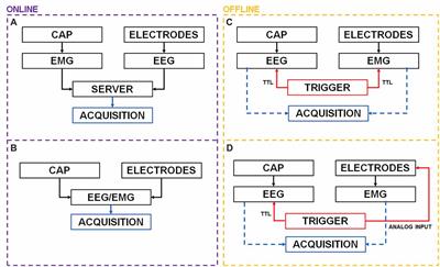 Effective Synchronization of EEG and EMG for Mobile Brain/Body Imaging in Clinical Settings